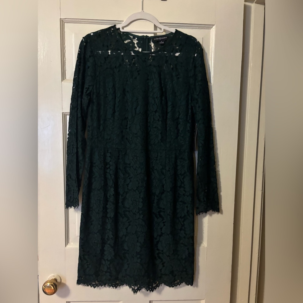 Misses NWT knee length, long sleeve dark green lace dress